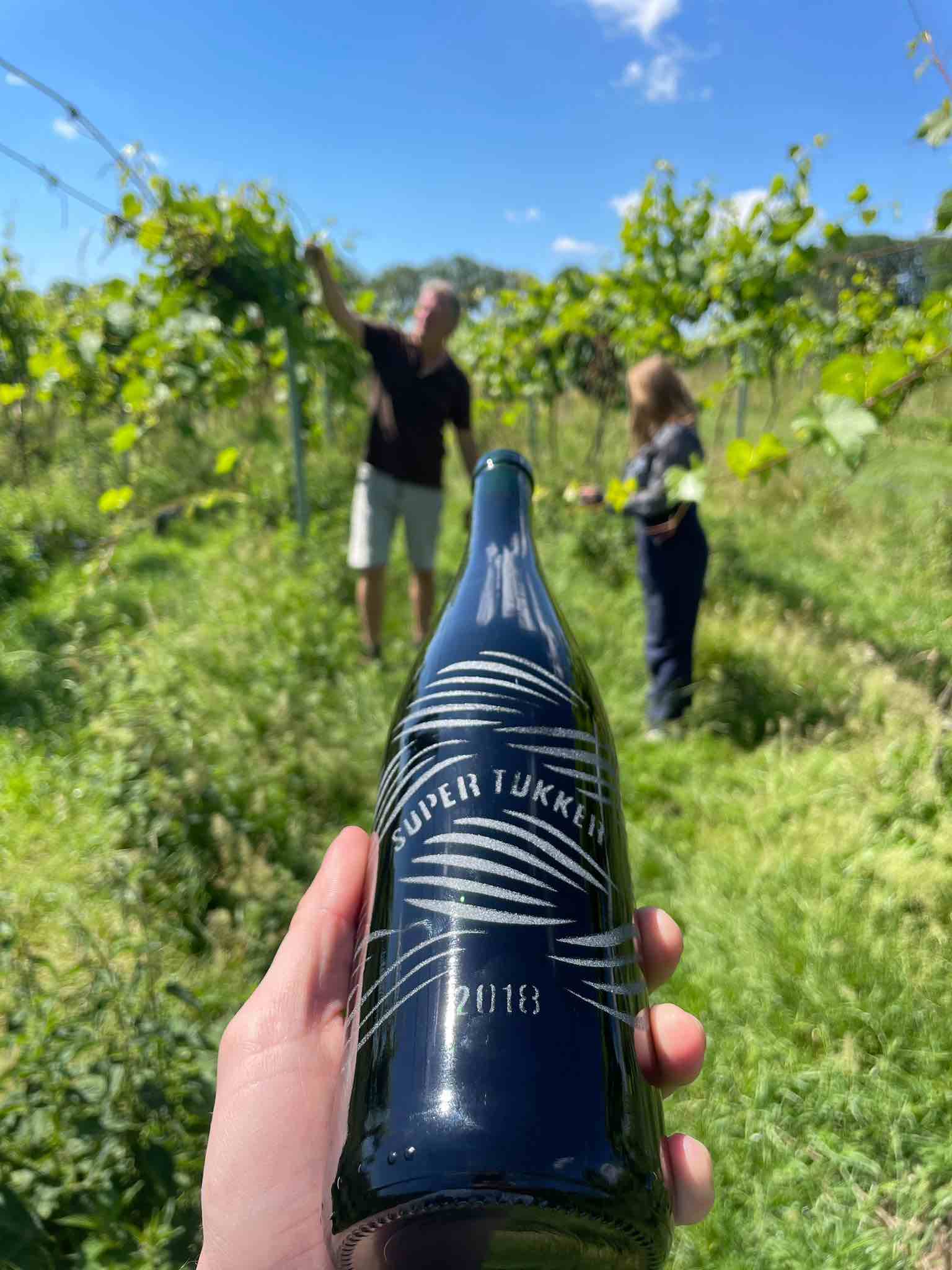 Wijngaard VieVinVjenne Natuurwijn uit Nederland